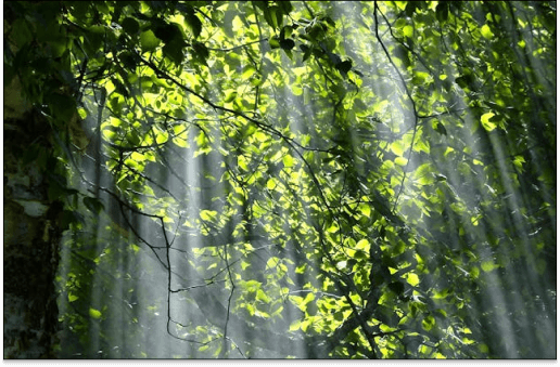 N-Acetylcysteine (NAC) in Mental Health: A Deep Dive into the Science